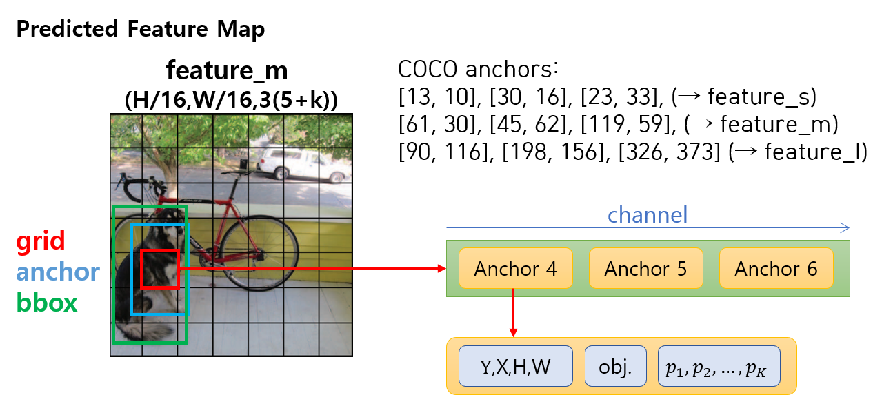 yolov3_head_output