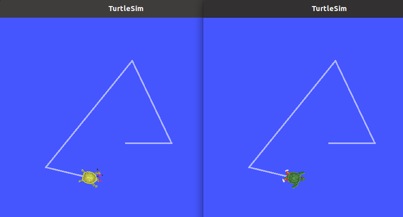 double_turtle